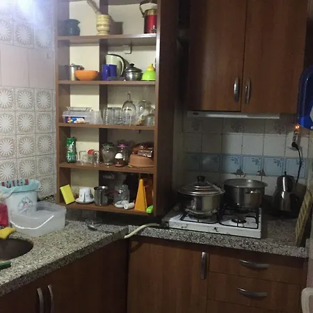파리